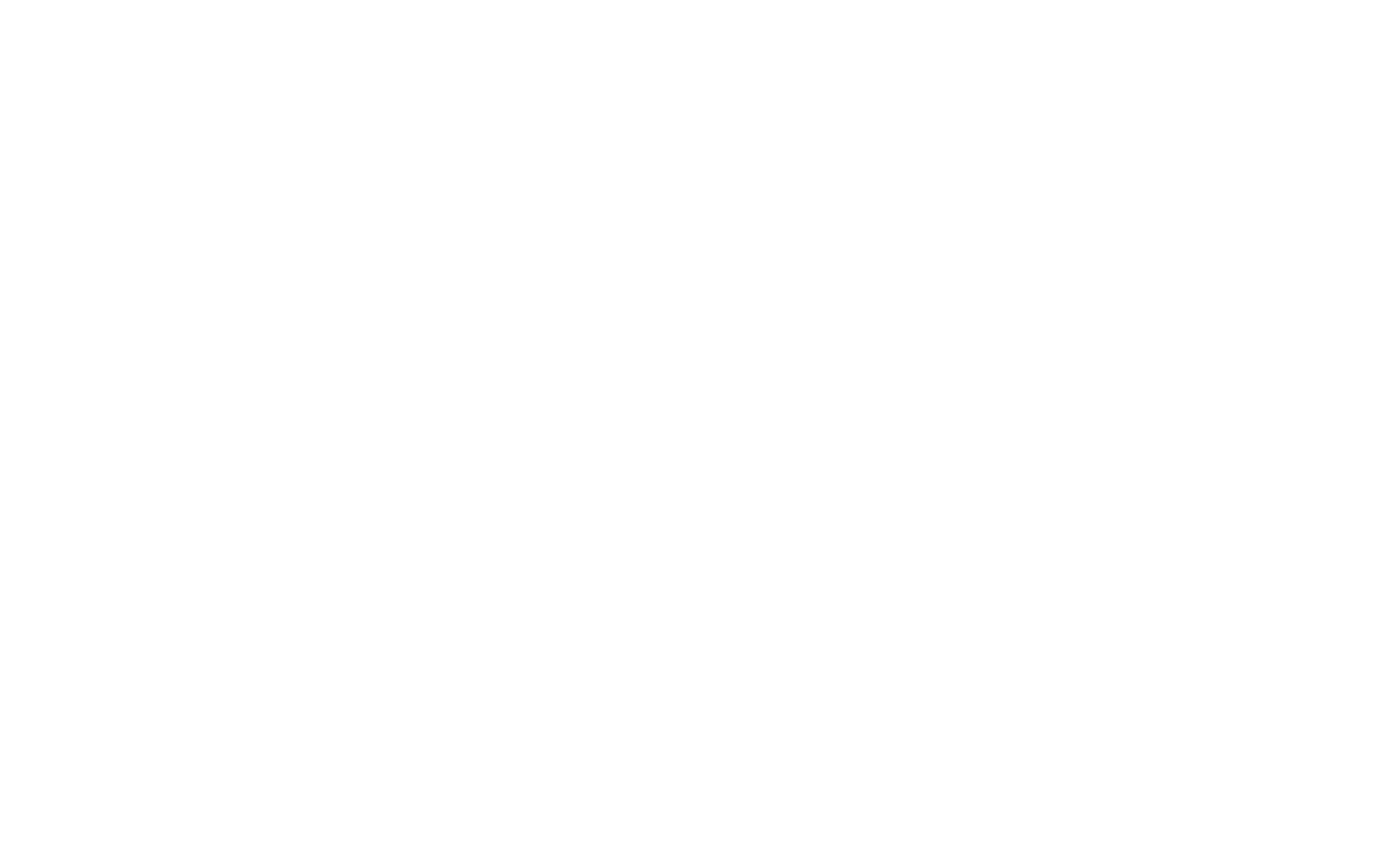 logo blanc JCDecaux
