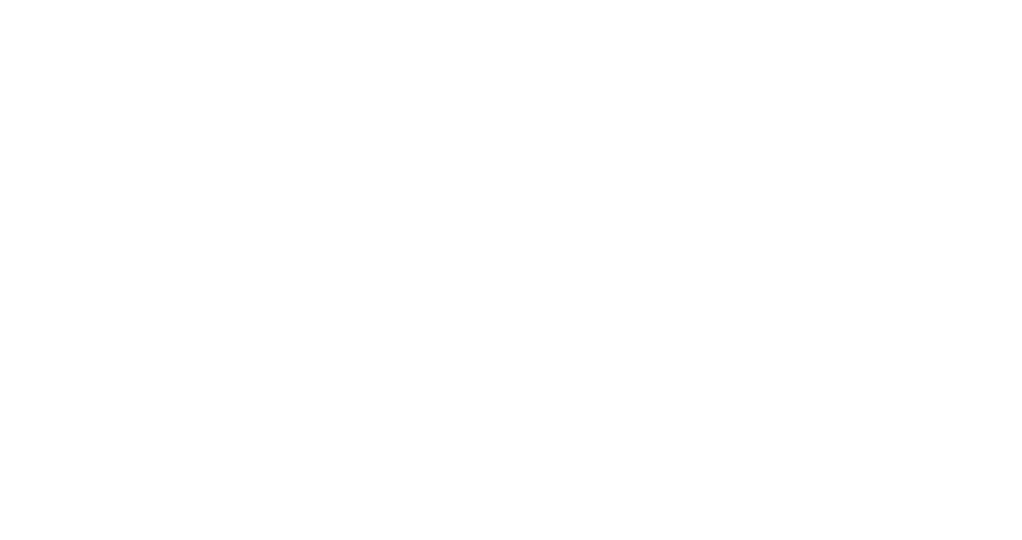 logo blanc decathlon