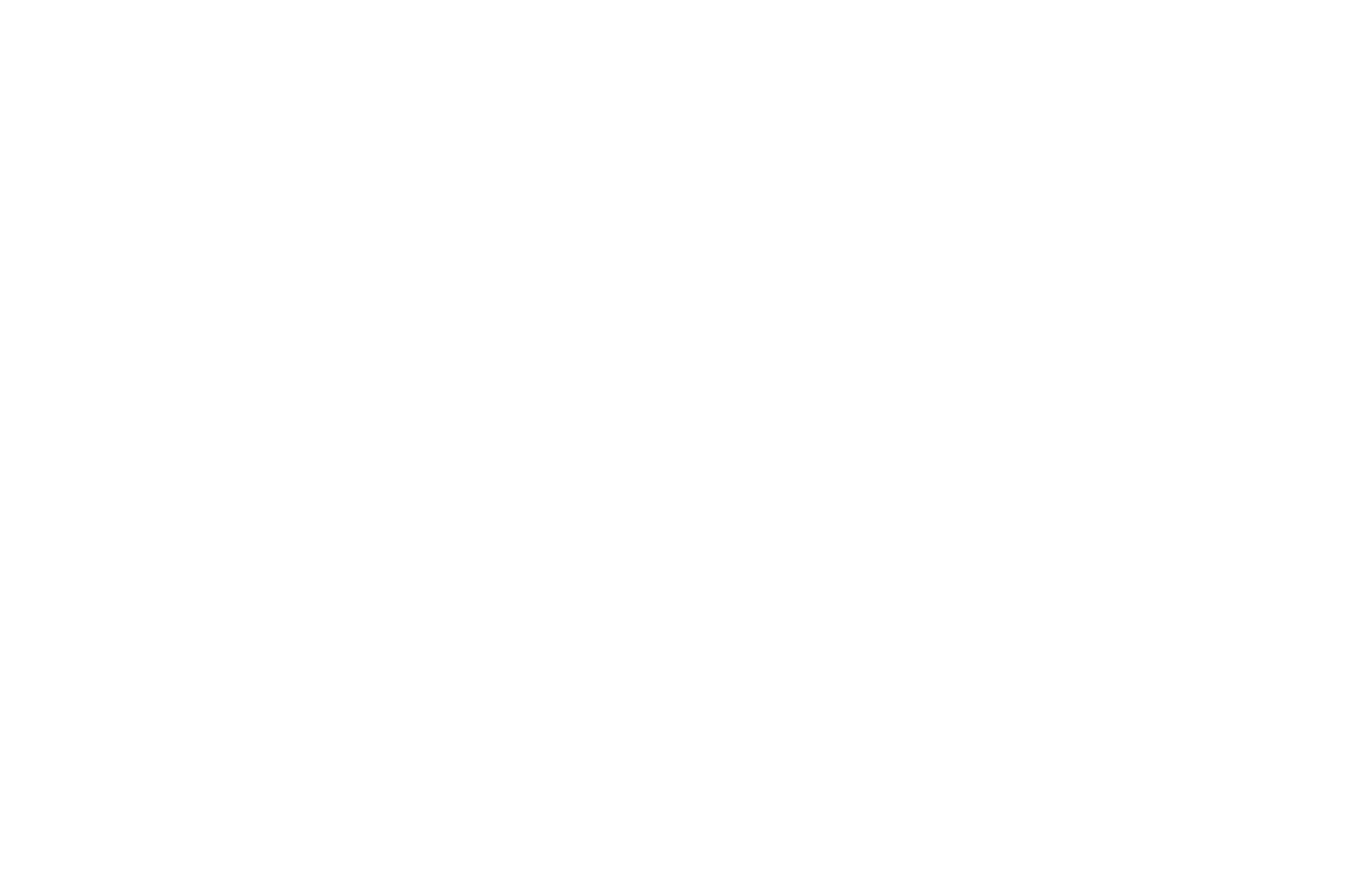 logo blanc michelin