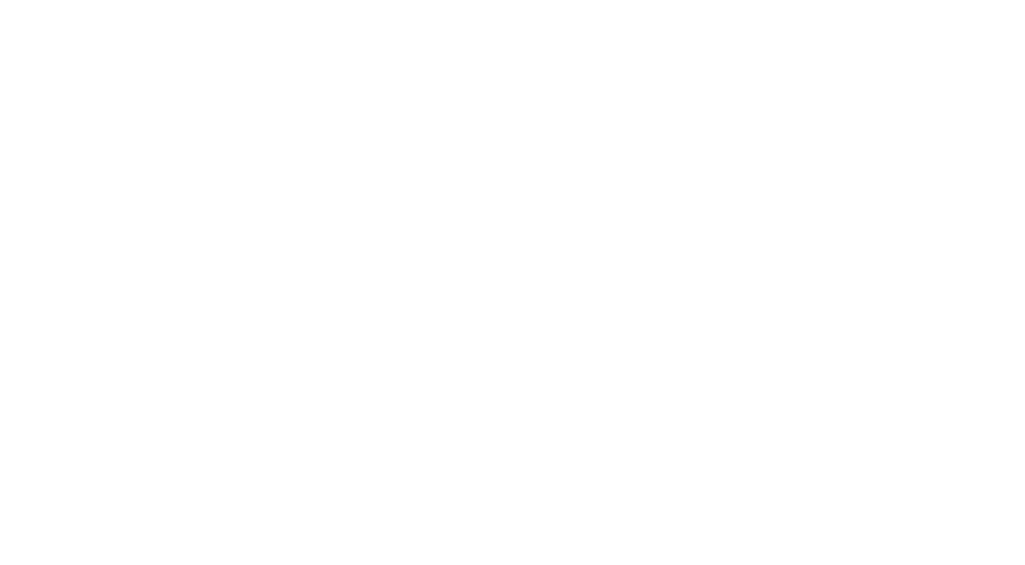 logo blanc toluna