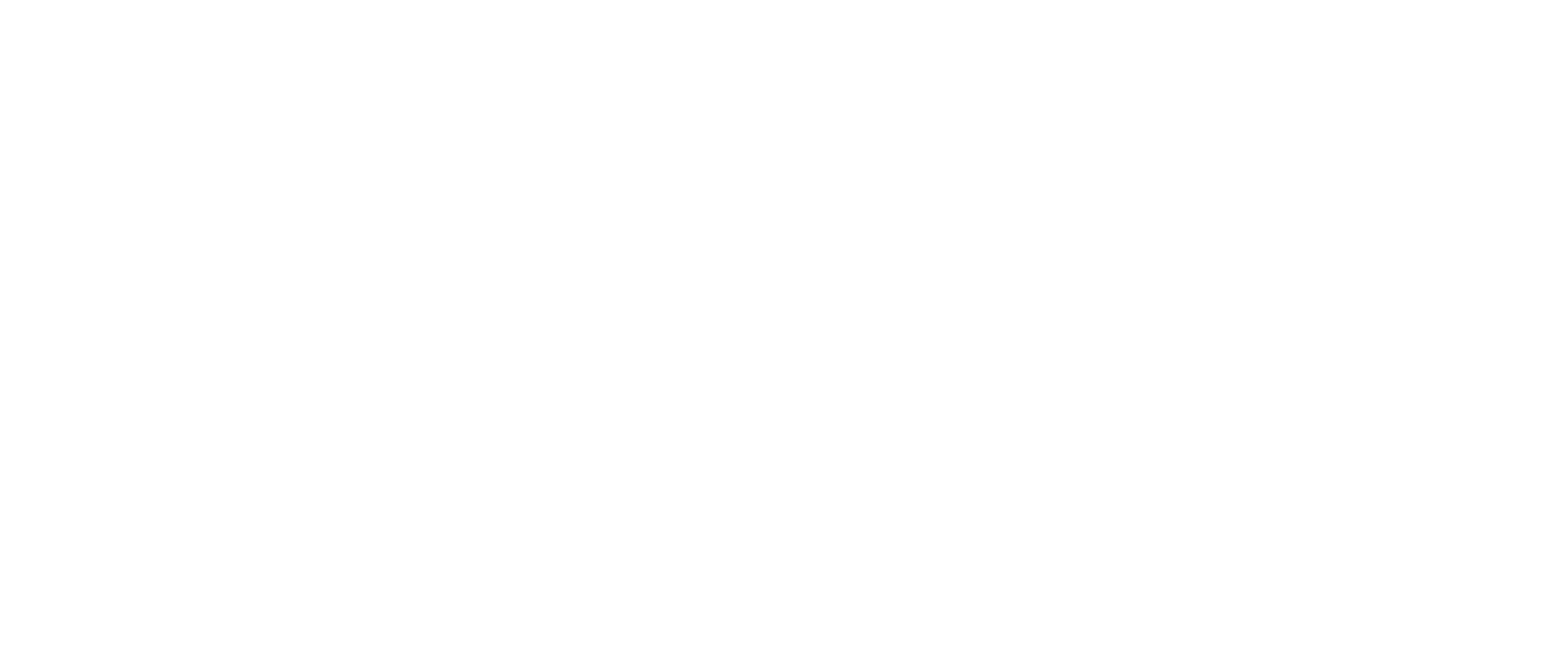 logo blanc transdev