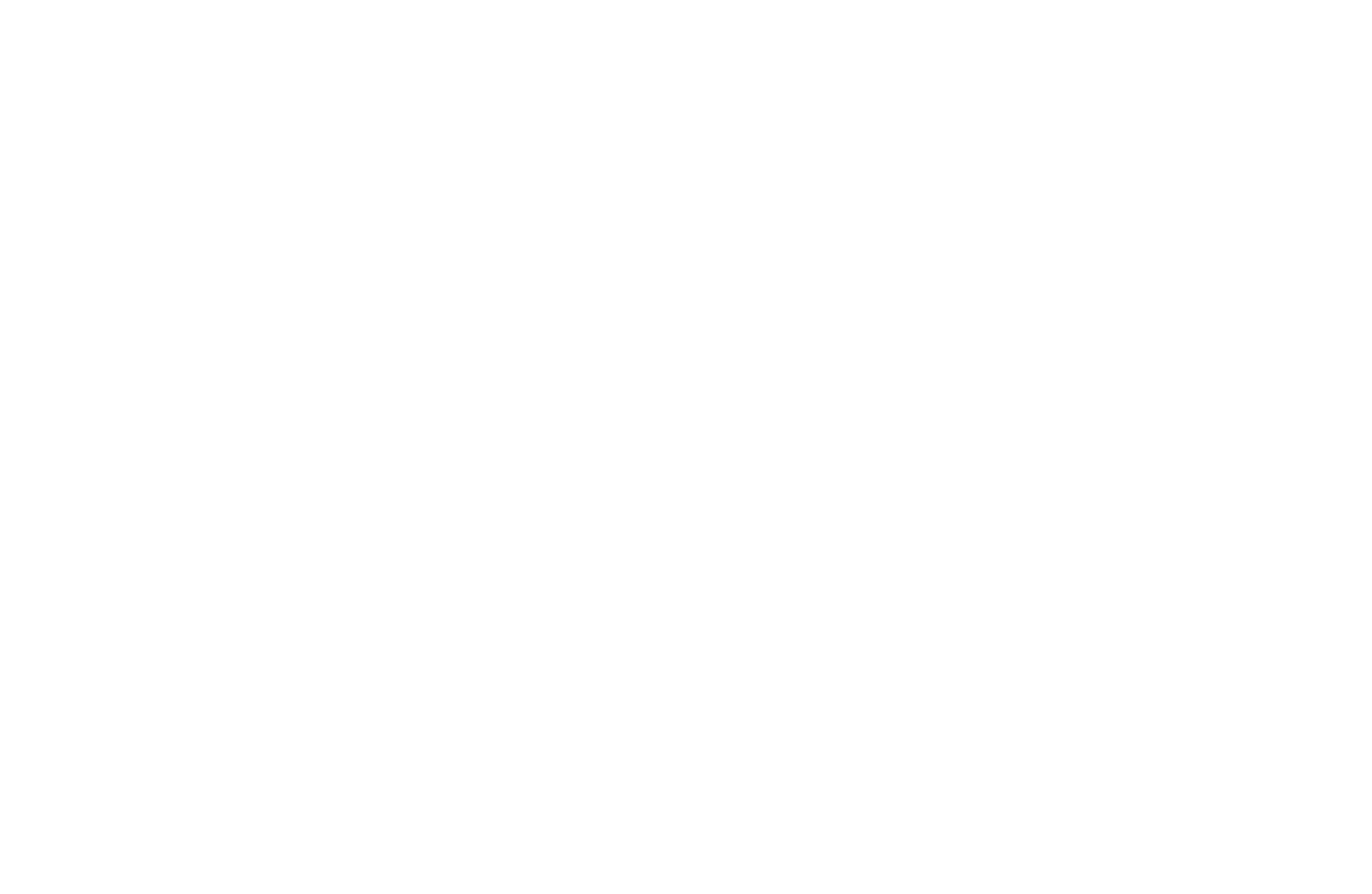 logo blanc redbull